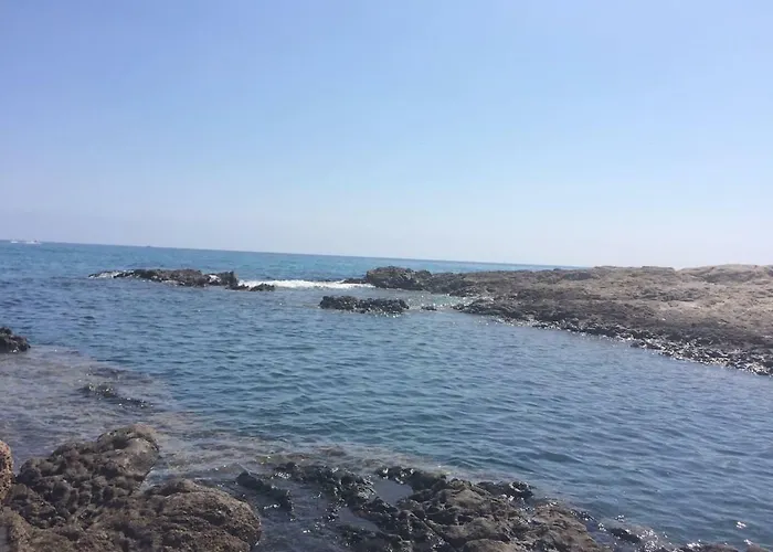Di Pardisoli