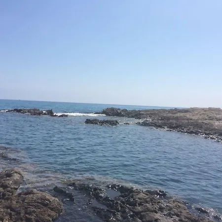 Di Pardisoli